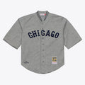 Chicago Cubs Authentic Jersey - Gray
