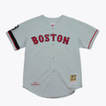 Nomar Garciaparra #2 Boston Red Sox 2002 Authentic Jersey - Gray