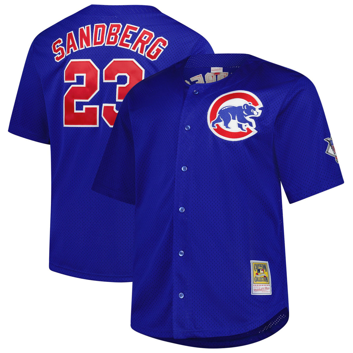 Ryne Sandberg #23 Chicago Cubs Mitchell & Ness Men'S Big & Tall Cooperstown Mesh Limited Batting Practice Jersey - Royal