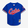 Ryne Sandberg #23 Chicago Cubs Mitchell & Ness Men'S 1996 Cooperstown Mesh Batting Practice Button-Up Limited Jersey - Royal