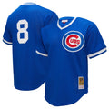 Andre Dawson #8 Chicago Cubs Mitchell & Ness Men'S Mesh Alternate Limited Jersey - Royal
