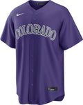 Colorado Rockies Nike Adult Blank Alternate Limited Jersey - Purple