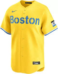 Boston Red Sox Nike Men'S 2025 City Connect Blank Limited Vapor Jersey