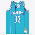 Charlotte Hornets NBA Mitchell & Ness Swingman Jersey - Alonzo Mourning