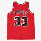 Chicago Bulls Mitchell & Ness Alternate Jersey - Mens