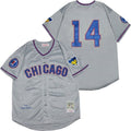 Ernie Banks #14 Chicago Cubs 2020 Limited Jersey - Grey