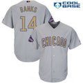 Ernie Banks #14 Chicago Cubs Majestic Mens 2017 World Series Champions Gold Limited Cool Base Jersey - Gray