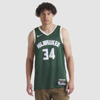 Milwaukee Bucks NBA Icon Swingman Jersey - Giannis Antetokounmpo