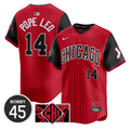 Bobby Jenks #14 Chicago White Sox Pope Leo Limited City Connect Jersey